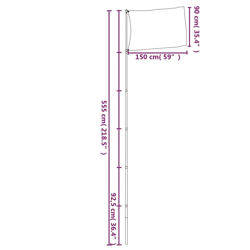 Europe Flag and Pole 5.55 m Aluminium