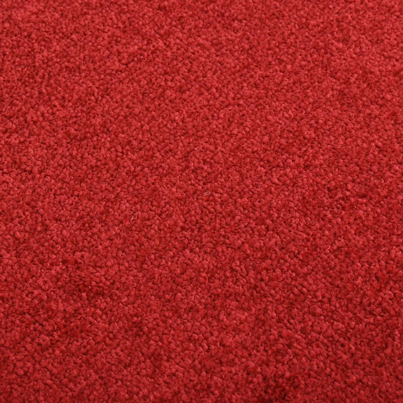 Doormat  Red 60x80 cm