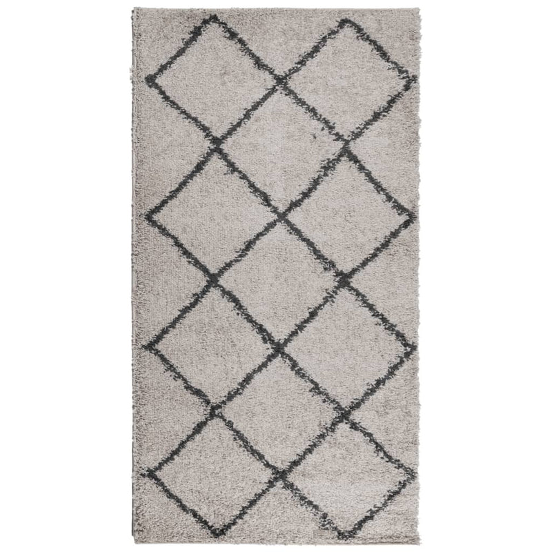 Shaggy Rug High Pile Modern Beige and Anthracite 80x150 cm