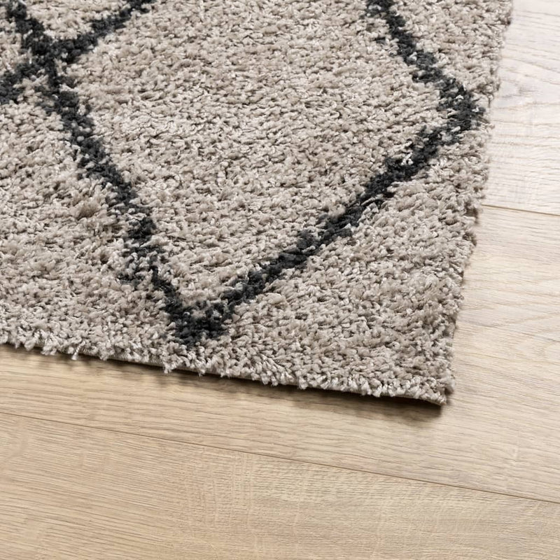 Shaggy Rug High Pile Modern Beige and Anthracite 80x150 cm