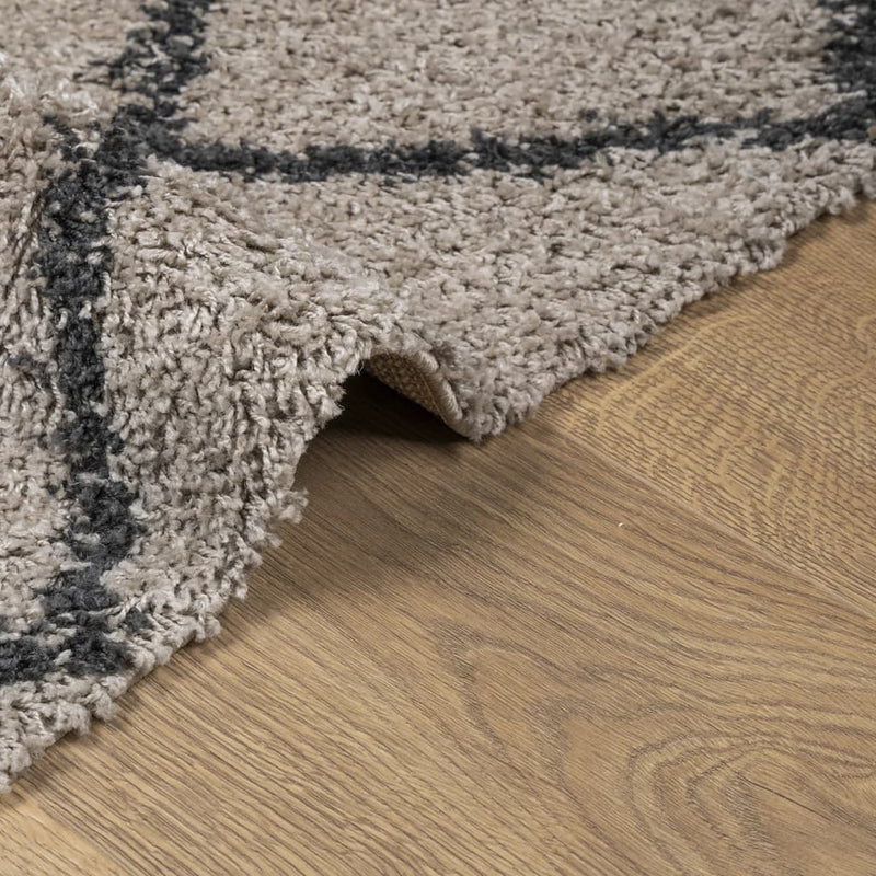 Shaggy Rug High Pile Modern Beige and Anthracite 80x150 cm