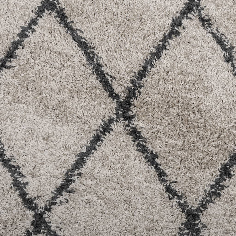 Shaggy Rug PAMPLONA High Pile Modern Beige and Anthracite 120x170 cm