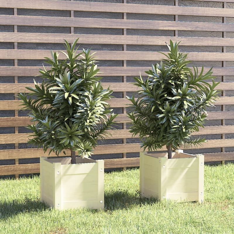 Garden Planters 2 pcs White 31x31x31 cm Solid Pinewood