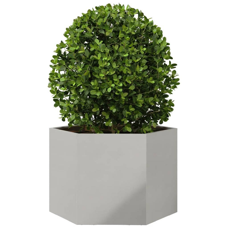 Garden Planter Hexagon 69x60x45 cm Stainless Steel