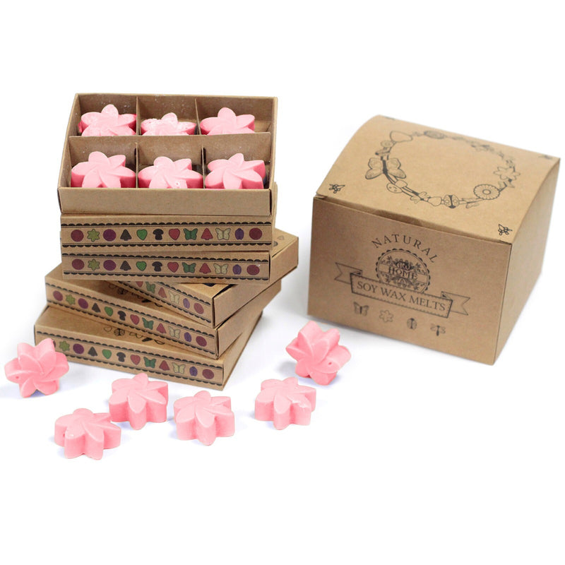 Box of 6 Wax Melts - Classic Rose - Per case: 1 Piece